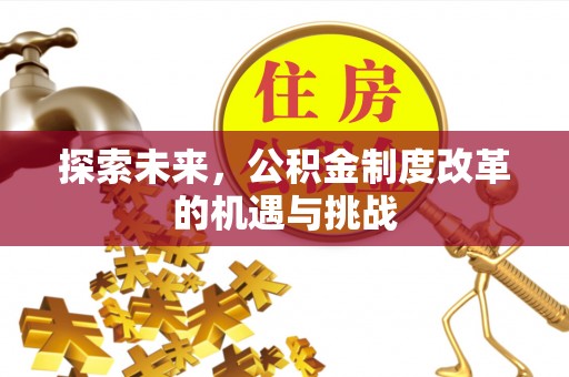 天门探索未来，公积金制度改革的机遇与挑战