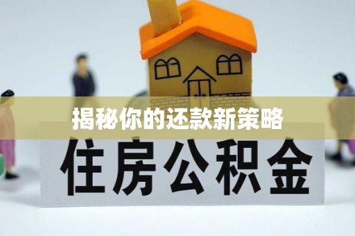 天门揭秘你的还款新策略