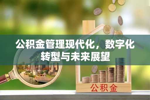 天门公积金管理现代化，数字化转型与未来展望