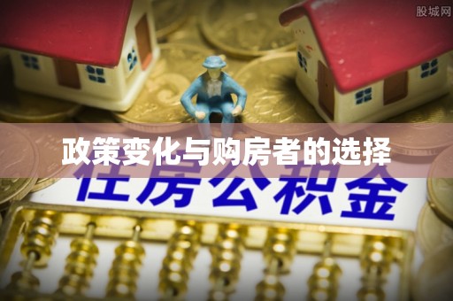 天门政策变化与购房者的选择