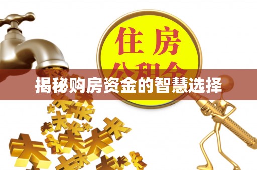 天门揭秘购房资金的智慧选择