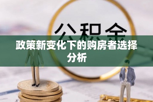 天门政策新变化下的购房者选择分析