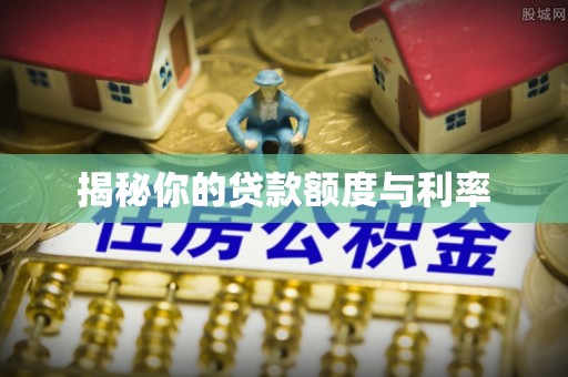 天门揭秘你的贷款额度与利率