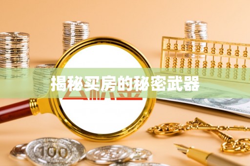 天门揭秘买房的秘密武器