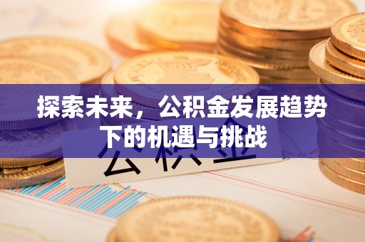 天门探索未来，公积金发展趋势下的机遇与挑战