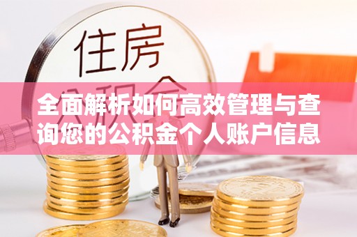 天门全面解析如何高效管理与查询您的公积金个人账户信息