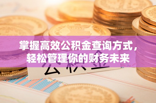 天门掌握高效公积金查询方式，轻松管理你的财务未来