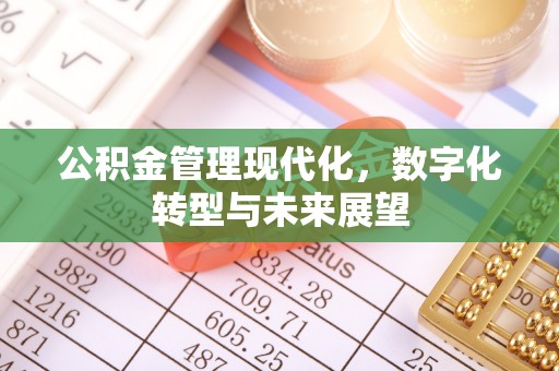 天门公积金管理现代化，数字化转型与未来展望