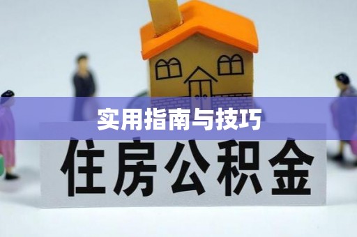 天门实用指南与技巧
