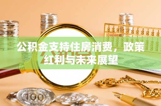 天门公积金支持住房消费，政策红利与未来展望