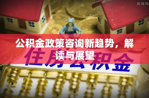 天门公积金政策咨询新趋势，解读与展望