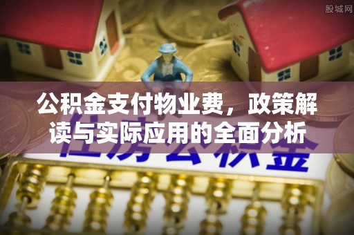 天门公积金支付物业费，政策解读与实际应用的全面分析